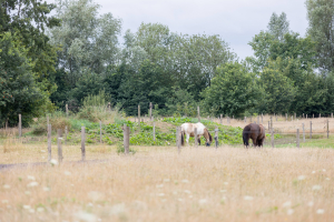 Foto credits Laura Knoops